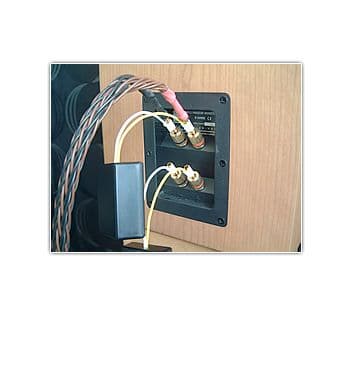 Fidelity Audio NN Z Speaker filter