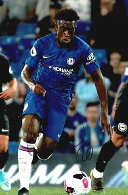 Callum Hudson-Odoi Autograph Signed Photo - Chelsea
