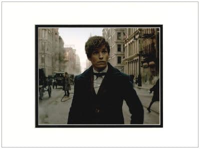 Eddie Redmayne Autograph Signed Photo - Fantastic Beasts
