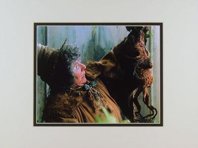 Miriam Margolyes Autograph Signed Photo - Harry Potter