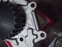 Water pump, Nissan Figaro, Pao & Micra K10, GMB Japan