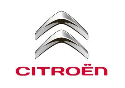 100ml Citroen Vehicle Industrial Paints Solvent Basecoat