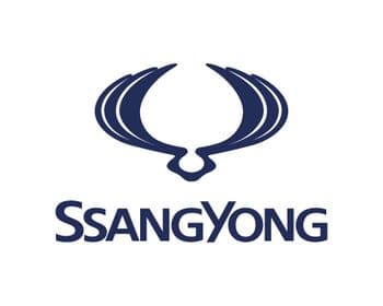 1L Ssangyong Paint 1K Acrylic