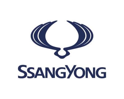 200ml Ssangyong Paint Waterbased