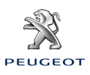 500ML Peugeot Motorcycle Paint Waterbased