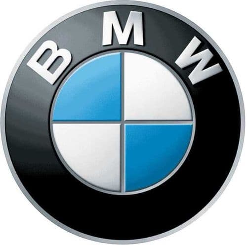 BMW Car Paint