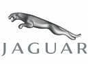 Jaguar Car Paint