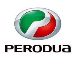 Perodua Car Paint