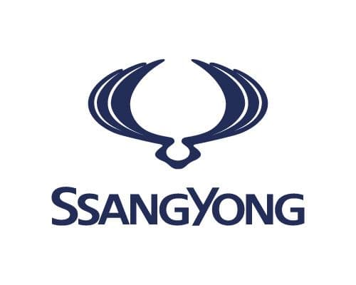 Ssangyong Car Paints