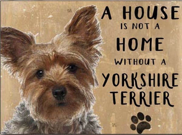 A House Is Not A Home.. Yorkshire Terrier fridge magnet (og)