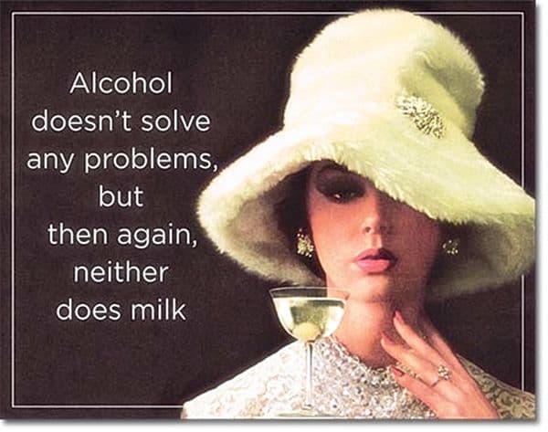 Alcohol Doesn't Solve Any Problems... funny metal sign (de)