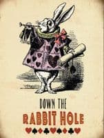Alice In Wonderland Down The Rabbit Hole metal sign  200mm x 150mm (og)