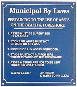 Asses on Beach enamelled steel wall sign