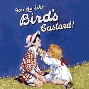Birds Custard ''You Do Like'' drinks mat / coaster (hb)