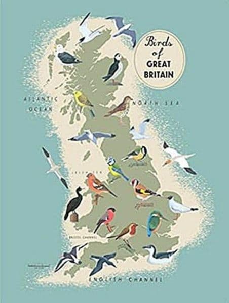 Birds of Great Britain small steel sign 200mm x 150mm (og)