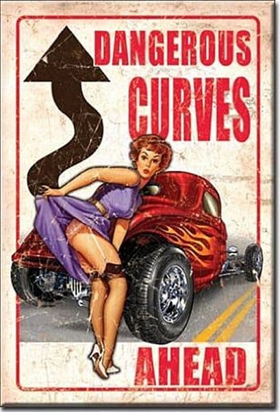 Dangerous Curves Ahead steel fridge magnet     (de)