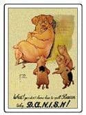 DANISH!  Bacon pigs steel fridge magnet 80mm x 60mm    (hb)