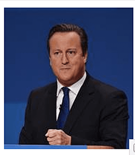 David Cameron fridge magnet   (se)