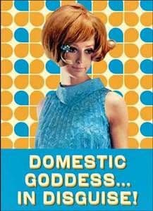 Domestic Goddess funny fridge magnet