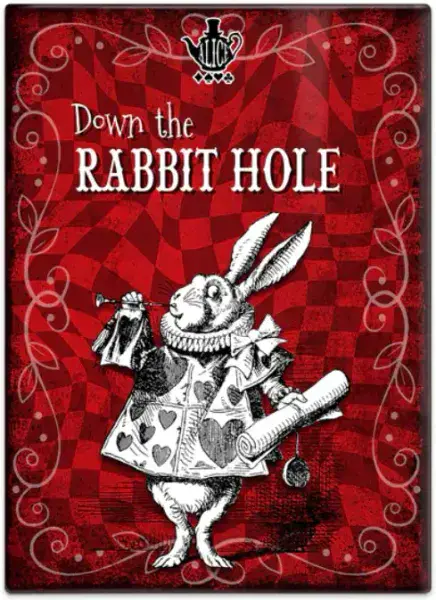 Down the Rabbit Hole  Alice In Wonderland Fridge Magnet 90mm x 65mmm  (col)