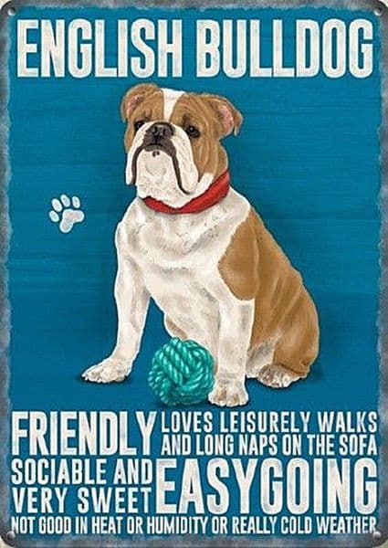 English Bulldog large steel sign 400mm x 300mm  (og)