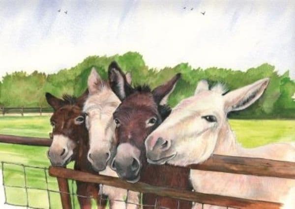 Four Donkeys by Sue Podbery 1000 piece jigsaw puzzle 690mm x 480mm