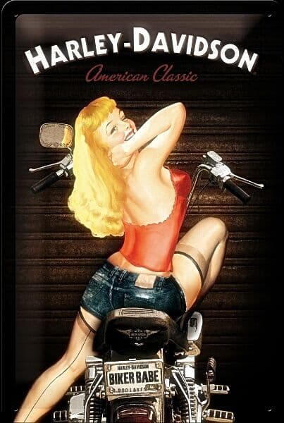 Harley Davidson Biker Babe Metal Sign 200mm x 300mm