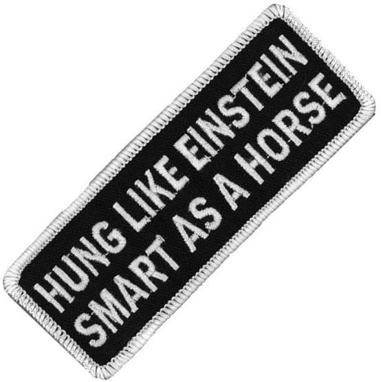 Hung Like Einstein... iron-on/sew-on patch (cp)
