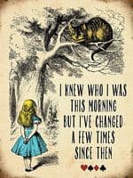I Knew Who I Was This Morning But I've Changed... small steel sign 200mm x 150mm