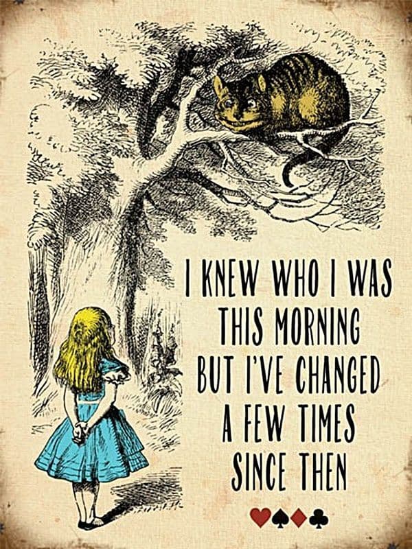 I Knew Who I Was This Morning But I've Changed... small steel sign 200mm x 150mm