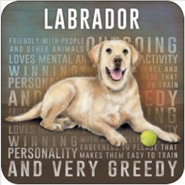 Labrador drinks mat / coaster (og)