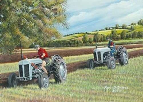 Massey (Ferguson) At Work Didwell 1000 Piece Jigsaw 690mm x 480mm (jg)