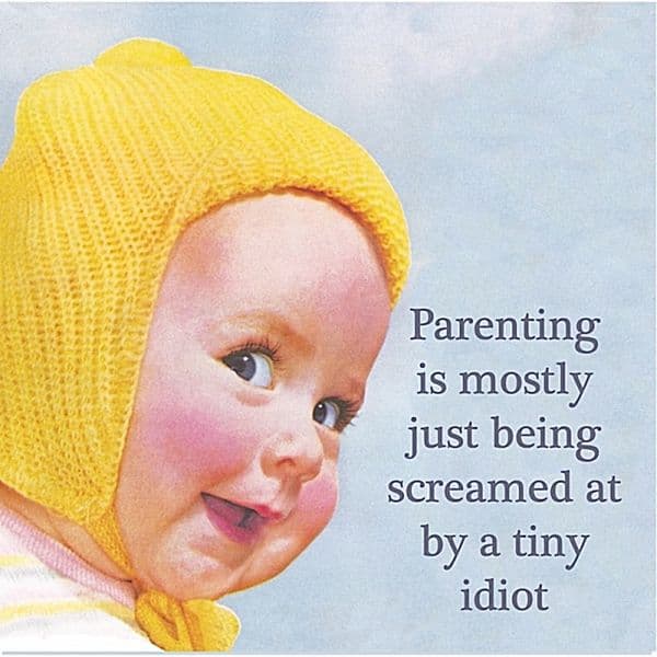 Parenting Is Mostly Just Being Screamed At.. single funny drinks coaster   (hb) REDUCED!