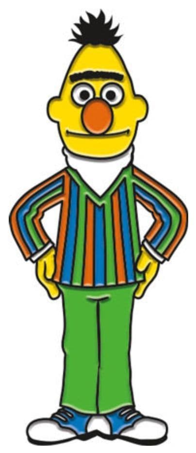 Sesame Street Bert metal / enamel pin badge (nm)