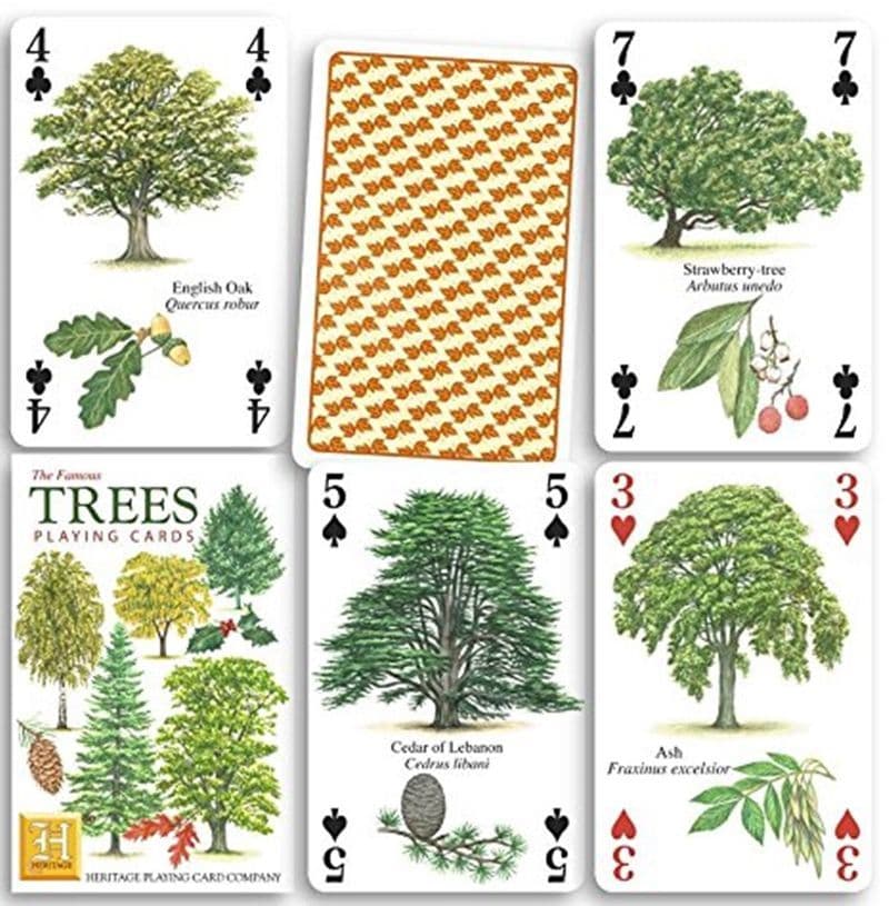 Trees set of 52 playing cards jokers