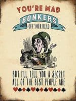 You're Mad Bonkers Off Your Head large Steel Sign 400mm x 300mm  (og)