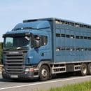 014106 Level 2 Certificate in Transporting Animals by Road (Long Journeys)