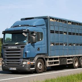Avalon Assesments Ltd - NPTC Level 2 Certicifice in TraPnsporting Animals by Road (Long Journeys)