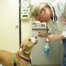 AVM309 Level 2 Award in the Safe Use of Veterinary Medicines