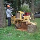 Certificate in Stump Grinding
