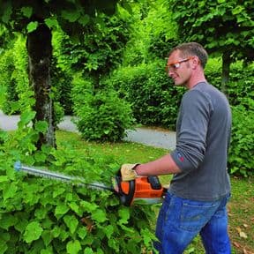 Avalon Assessments Ltd - NPTC Certificate of Competence in Safe Use Of Hedge Trimmers