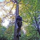 Certificate in the Thorough Examination of Arboricultural Equipment