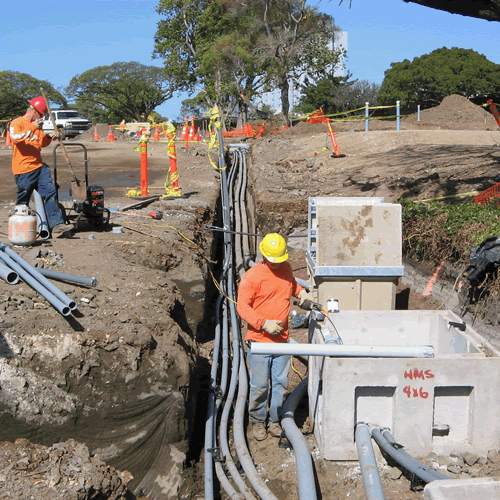 Certificate in Utility Arboriculture (POA)