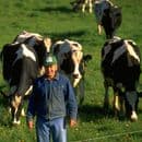 Level 2 Certificate in Basic Stockmanship and Welfare