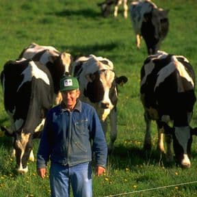 Avalon Assessments Ltd - NPTC Level 2 Certificate in Basic Stockmanship and Welfare