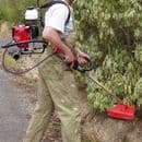 Level 2 Certificate in Brush Cutters and Trimmers 001426