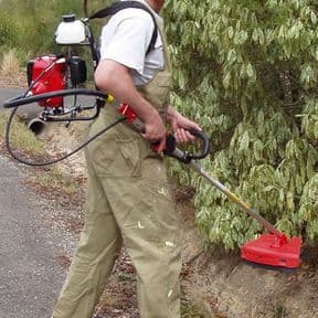 Avalon Assessments Ltd - NPTC Level 2 Certificate in Brush Cutting Operations