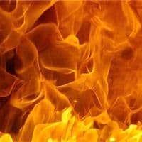 Bollom Flameguard Ultra Acrylic Eggshell Topcoat Custom Mixed Colours 5L