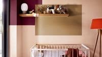 Dulux Easycare Washable & Tough Matt Spiced Honey Palette #1