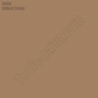 Dulux Gloss Spiced Honey Palette #4